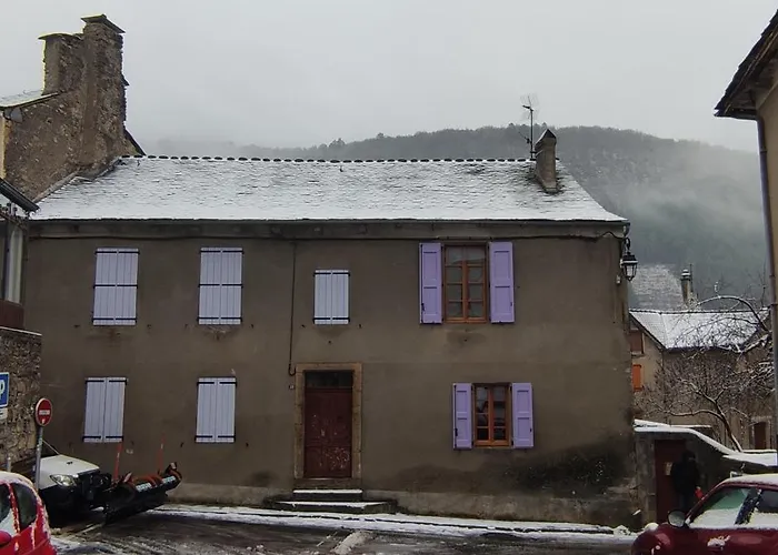 Grande Maison Jardin Cours Centre